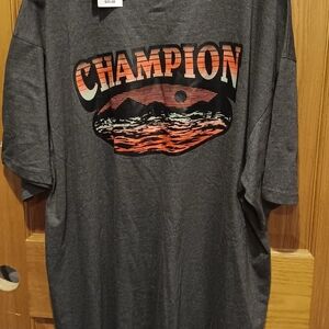 Bundle of 2 3XL Champion T-Shirts
